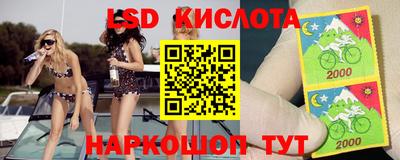 эйфоретик Обнинск