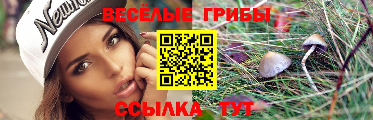 Галлюциногенные грибы ЛСД  купить закладку  Соликамск  Вход с VPN 
